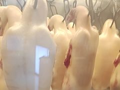 -西贝(金桥店)