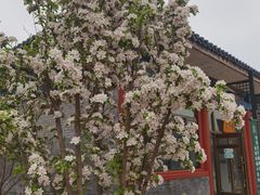 -北京市东郊殡仪馆