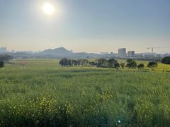 -光明小镇欢乐田园