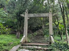 -莫干山风景区