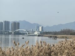 -江心屿景区
