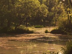 -西溪国家湿地公园