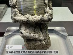 -湖南省地质博物馆