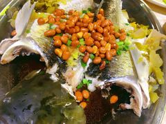 -石岐乳鸽村(南海第三分店)