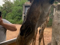 -清迈夜间动物园