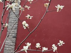 -西安市广仁寺