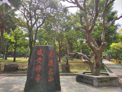 -海口火山口国家地质公园