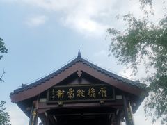 -沙湖公园