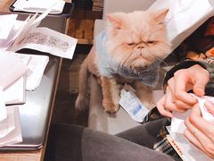 -小时光咖啡馆(开森度假森林店)
