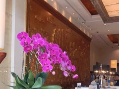 -大连中远海运洲际酒店
