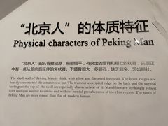 -北京周口店北京人遗址博物馆