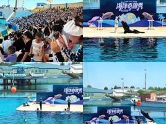 -秦皇岛乐岛海洋王国