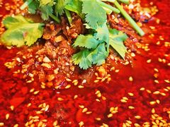 香菜红油牛肉-思金拉措·西藏饮食文化体验中心(仙足岛店)
