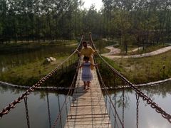 -合肥滨湖国家森林公园