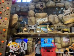 -卡通尼·Safari非洲探索乐园·生日会(金桥国际商业广场店)