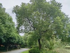 -梁祝景区