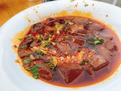 -南街杨记·麻辣烫