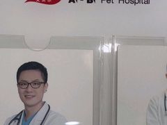-艾贝尔宠物医院·24H转诊中心·肿瘤猫专科(江宁双龙店)