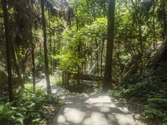 -缙云山景区