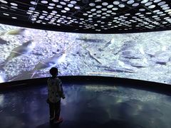 -同济大学四平路校区深海探索馆