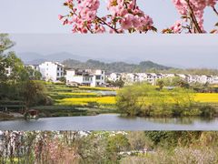 -婺源月亮湾