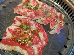 -杨记齐齐哈尔烤肉(总店)