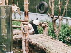 -黔灵山公园