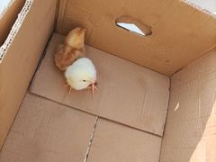 -兴芮温泉度假区