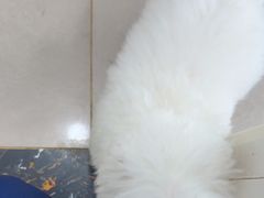 -佳雯宠物医院·皮肤科·内外科(春晓路分院)