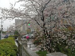 -玉山公园