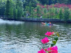 -广州市帽峰山景区