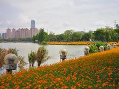 -顺峰山公园
