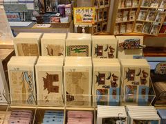 -猫的天空之城概念书店(束河店)