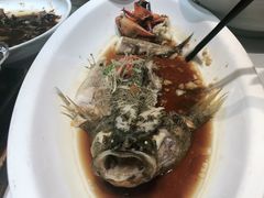 -丰收日(五角场店)