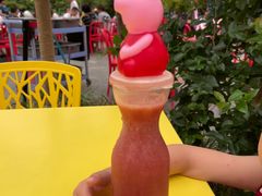 -南宫五洲植物乐园