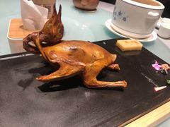 -大鸽饭(体育西路店)