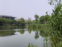 -新江湾城公园