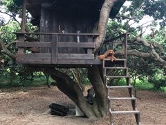 -鹤之洲湿地公园