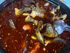 -金海椒罐罐鲢鱼(东方桂苑店)