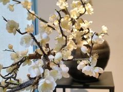 -梅花境(万科店)