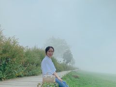 -武陵山森林公园
