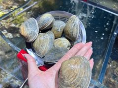 -喝丢一只鞋海鲜烧烤·海肠捞饭(东关街店)