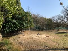 -宁波野生动物园