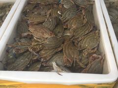 -盛华世家商业广场农贸水产综合批发市场