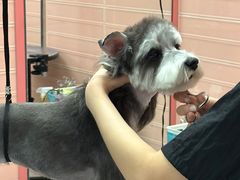 -FAELING PETS美天灵宠物(合生汇店)