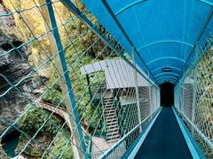 -鹿院坪生态旅游景区