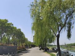 -洨河生态公园
