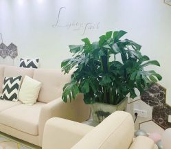 -MOE BEAUTY.皮肤管理中心