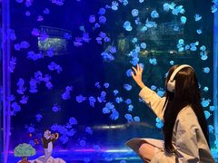 -欢乐海岸海洋奇梦馆