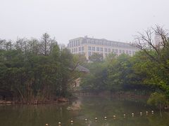 -吴淞炮台湾湿地森林公园烧烤区